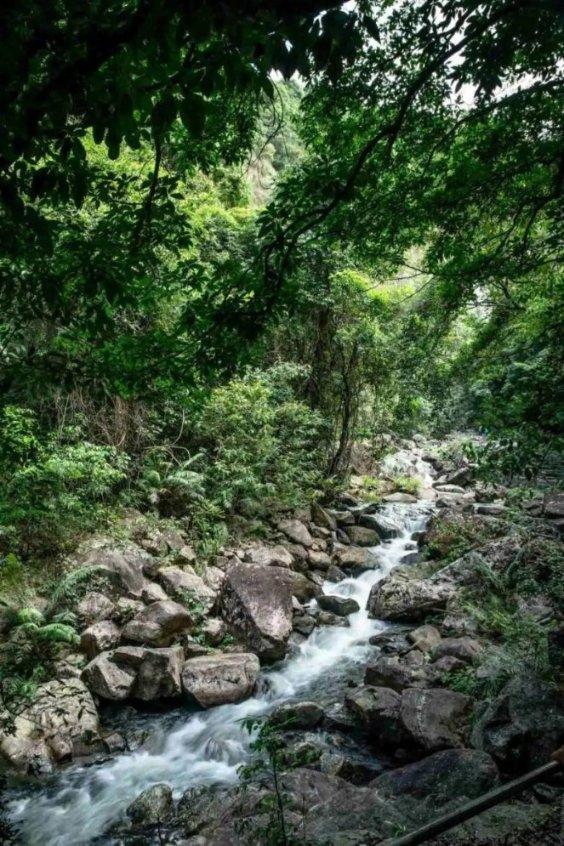 曝小米15系列内测进度不错,有望9月进入量产阶段